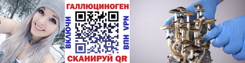 Псилоцибиновые грибы MAGIC MUSHROOMS  Инта 